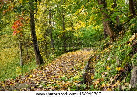 autumn park with a pathway on a slope