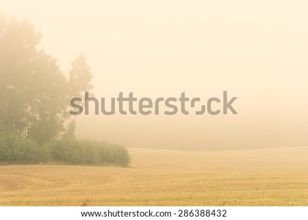 Misty autumn morning with harvested crop field and trees