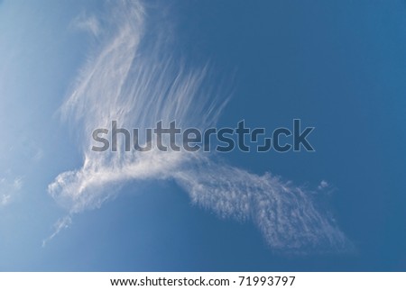 bird shaped cloud in blue sky