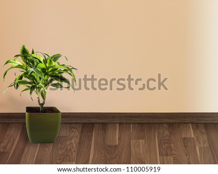 Inside interior of wall with palm tree on floor