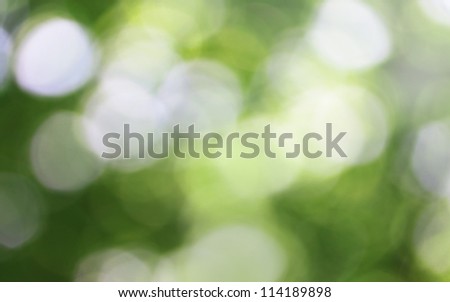 Light Nature Background