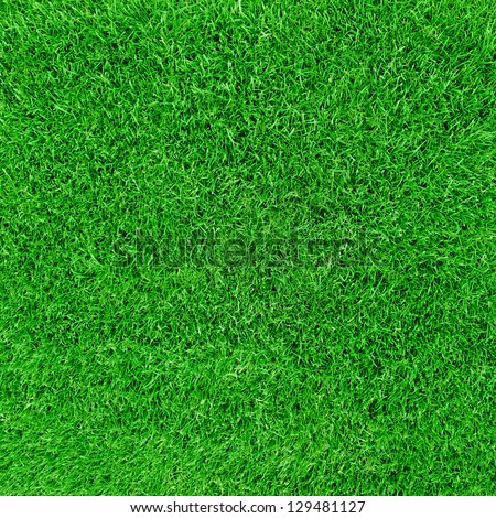 Green Football Field Grass