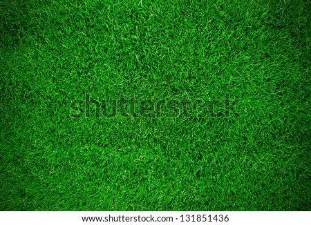 Green meadow grass field for football