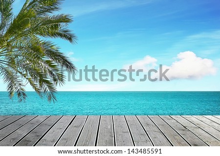 Beautiful Sea View With Palm Tree On Sunny Day