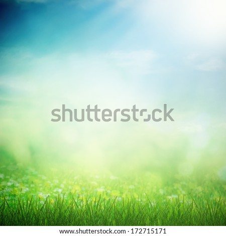 Spring Sky With Sunny Field With Growing Flowers And Grass