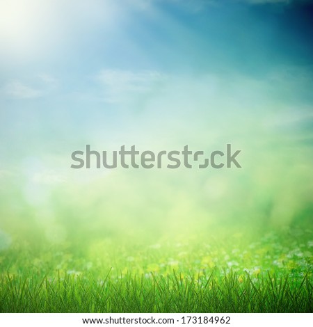 Sunny Sky With Spring Field With Growing Flowers And Grass