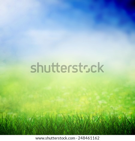 Spring sky with sunny field with grass field