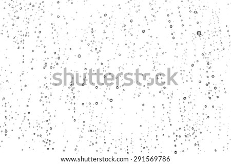 Water drops on the white background