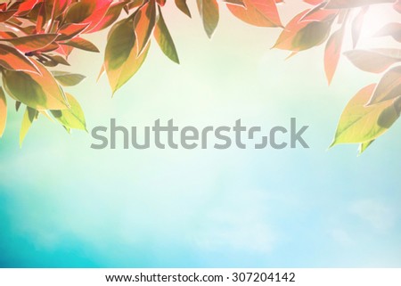 Early autumn day with red leaves as background
