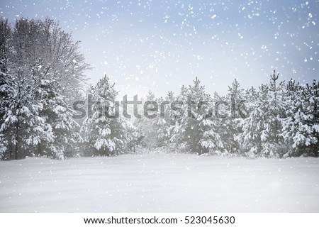 Winter holiday scene in snowing forest