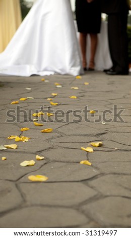 Shallow Depth Of Field, Rose Petals Leading A Path To The Bride And Groom During Their Ceremony