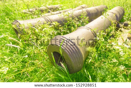 Old cannon barrel over a green flower meadow, peace concept.