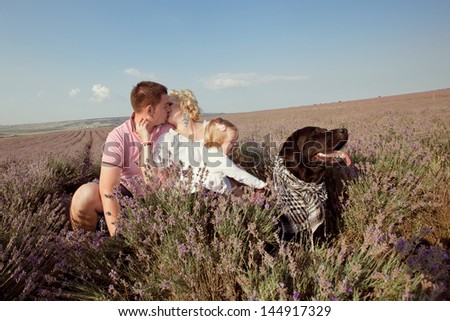 happy family and labrador dog  kissing outdoors in lavender field