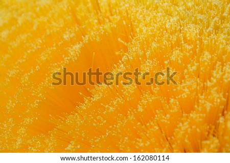 detailed texture of  yellow bristle brush