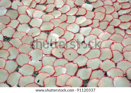 pattern that is being dried shrimp crackers