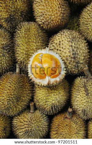 Elai, tropical fruits like durian fruit, with smaller size and yellow tropical fruit that is found only in Borneo Indonesia