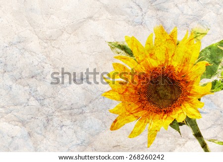 sunflower frame background grunge textured