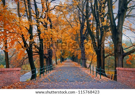 road in autumn park in Krakow