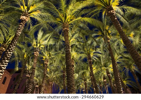 Palm Park in Jerusalem in the night