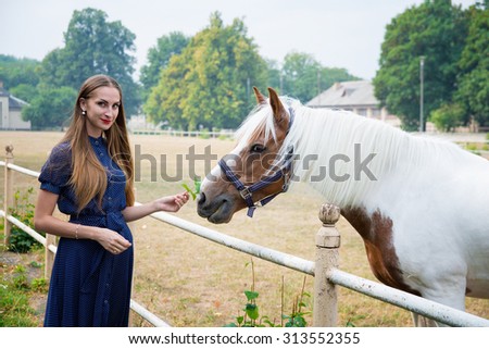 Girl feeding a horse in the park