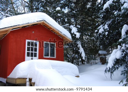 snowed in cabin
