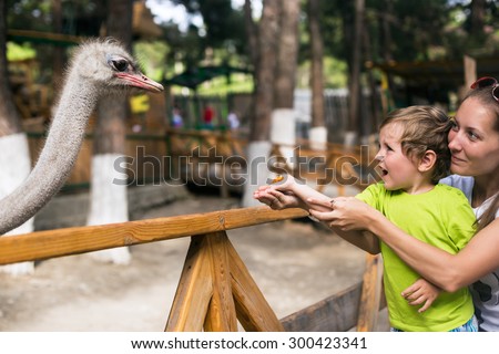 Little emotional boy with his mother feed ostrich in the contact zoo
