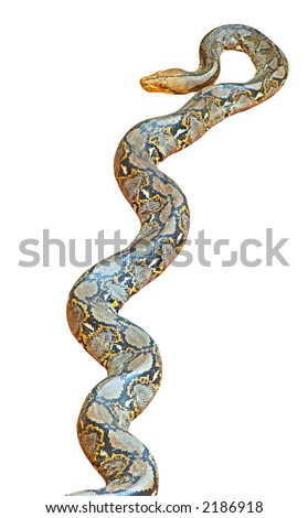 long python