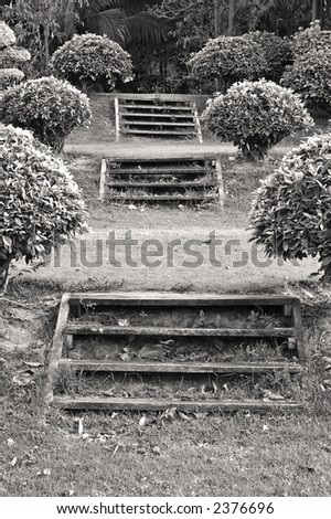 Flights of wooden steps in a formal Thai garden