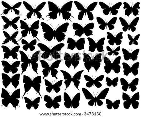 stock vector Selection of vector butterfly outlines and silhouettes