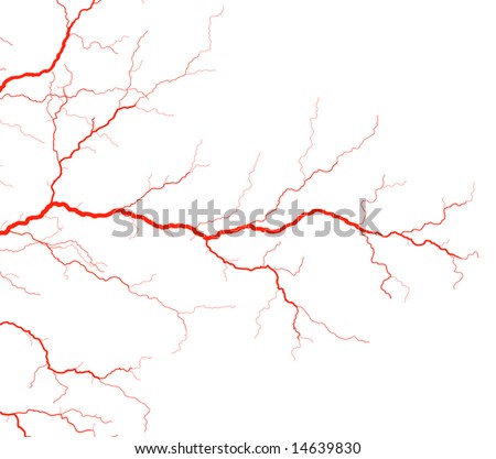 blood vessel illustration