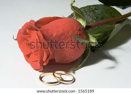 stock photo Wedding bands with one red rose