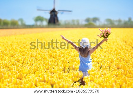 Child in tulip flower field with windmill in Holland. Little Dutch girl in white hat with bow picking flowers for bouquet. Kid in tulips fields in the Netherlands at wind mill.