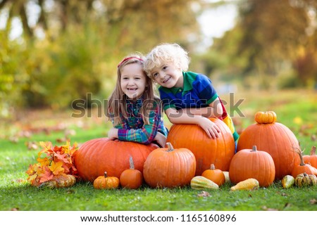 Group of little children enjoying harvest festival celebration at pumpkin patch. Kids picking and carving pumpkins at country farm on warm autumn day. Halloween and Thanksgiving time fun for family.