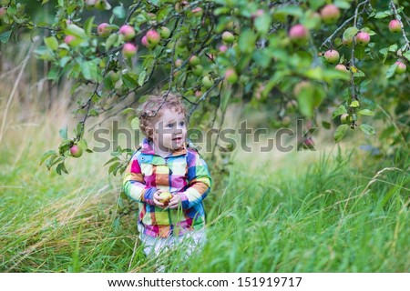 Funny baby girl walking in an apple garden on a cold rainy day in autumn