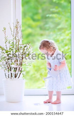 Cute little girl, funny toddler with curly hair wearing a blue festive dress, watering flowers - cherry blossom tree, spilling water on the floor at home in a white sunny living room with window