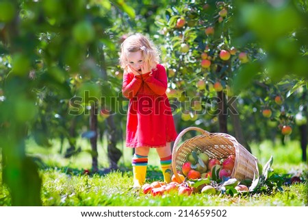 Adorable little toddler girl with curly hair wearing a red dress, laughing and looking at a basket tipped over with fresh apples spilling out in a beautiful fruit garden on a sunny autumn day