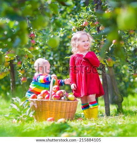 Happy little children, toddler girl and funny baby boy, brother and sister, playing together in a beautiful fruit garden eating apples next to a big basket on a warm autumn day outdoors