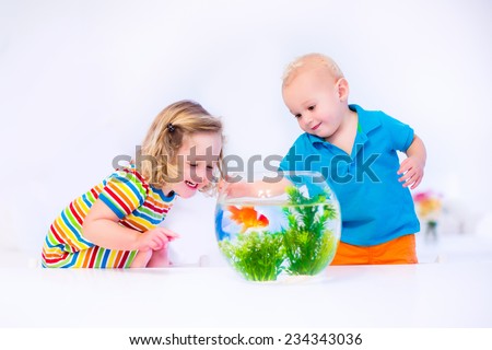 Two children, brother and sister, cute little girl and adorable baby boy feeding a goldfish swimming in a round fish bowl aquarium having fun with their pet at home