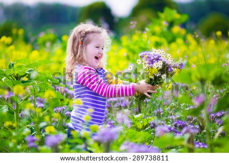 Child picking wild flowers in field. Kids play in a meadow and pick flower bouquet for mother on summer day. Children playing on a farm. Toddler girl outdoors in spring. Family vacation in the country