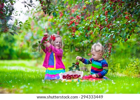 Kids picking cherry on a fruit farm. Children pick cherries in summer orchard. Toddler kid and baby eat fresh fruit from garden tree. Girl and boy eating berry in a basket. Harvest time fun for family