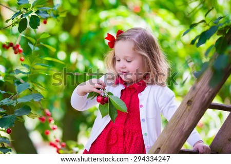Kids picking cherry on a fruit farm. Children pick cherries in summer orchard. Toddler kid eating fresh fruit from garden tree. Little farmer girl with berry in a basket. Harvest time fun for family