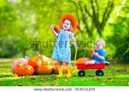 Kids playing at pumpkin patch at Halloween. Children play and pick pumpkins on a farm. Toddler girl and baby boy in a wheel barrow harvest vegetables in autumn. Fall outdoor fun for family with child