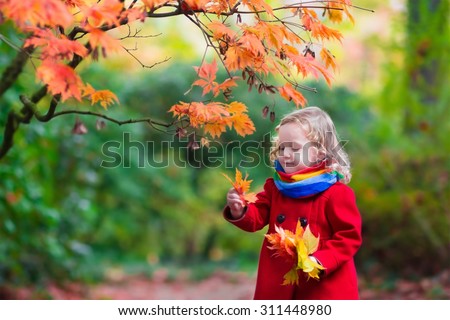 Little girl with yellow leaf. Child playing with autumn golden leaves. Kids play outdoors in the park. Children hiking in fall forest. Toddler kid under a maple tree on a sunny October day.