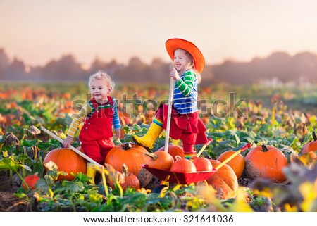 Little girl and boy picking pumpkins on Halloween pumpkin patch. Children playing in field of squash. Kids pick ripe vegetables on a farm in Thanksgiving holiday season. Family having fun in autumn.