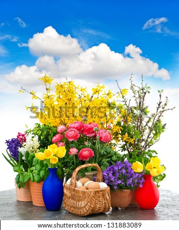 assorted spring flowers and easter eggs decoration over cloudy blue sky. tulips, ranunculus, campanula, forsythia
