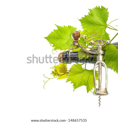 bottle of wine with corkscrew and fresh green vine leaves over white background with space for your text