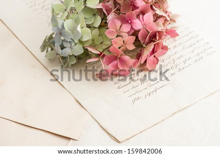 Old Love Letters And Garden Flowers Hydrangea. Romantic Vintage Style Background. Selective Focus