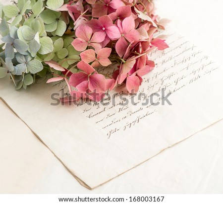 old love letters and garden flowers hydrangea. romantic vintage style background. selective focus