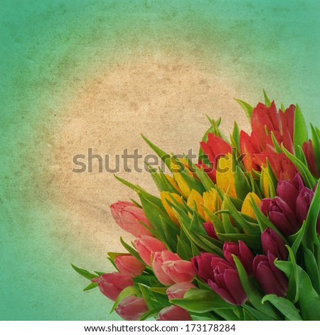 floral border of fresh multicolor tulip flowers over vintage paper background. retro style picture