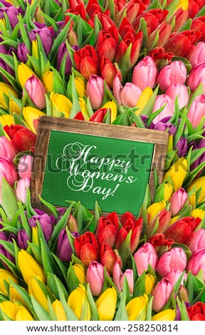Tulips and chalkboard. Fresh spring flowers with water drops. Holidays background with sample text  Happy Women\'s Day!